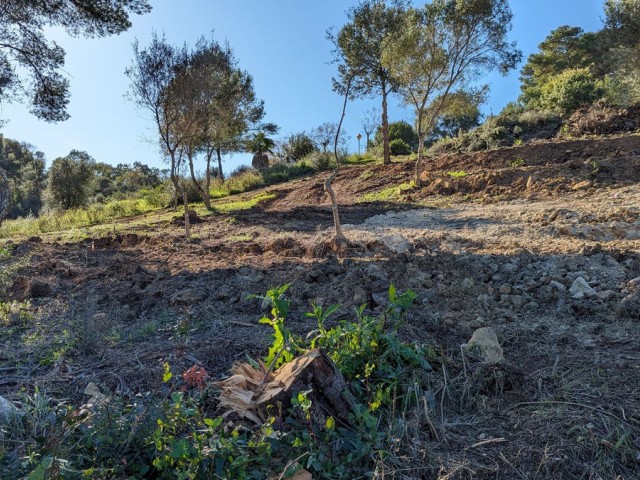  Plot in Sotogrande