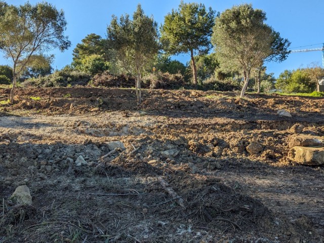  Plot in Sotogrande