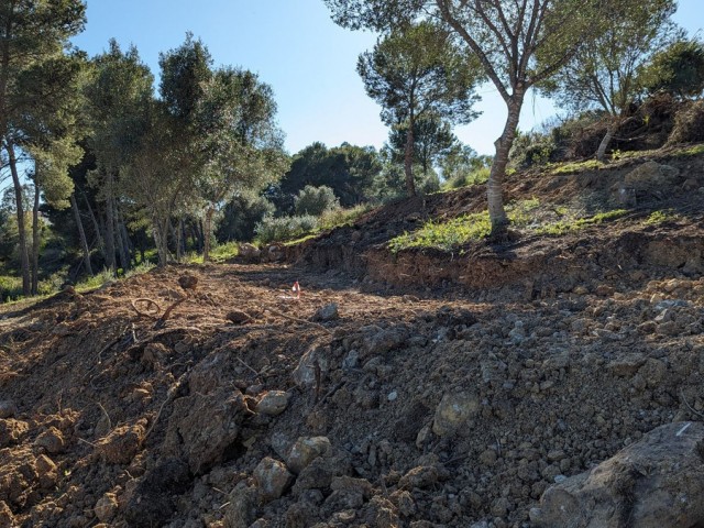  Grundstück in Sotogrande