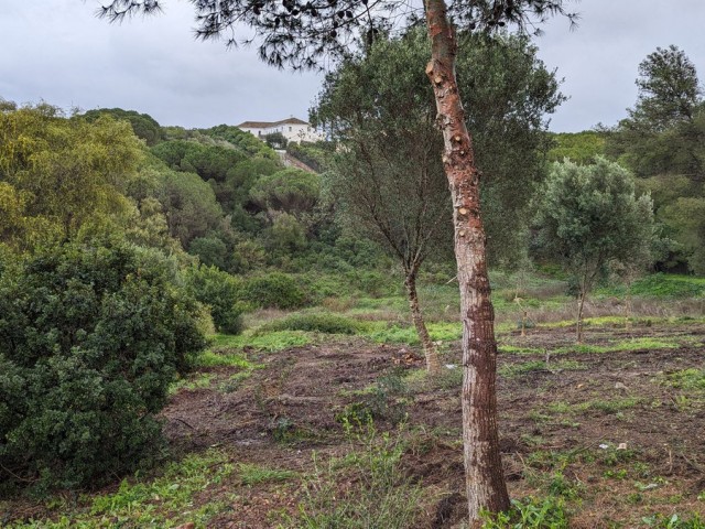 Perceel, Sotogrande, R5130544