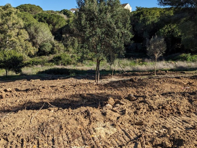  Parcelle à Sotogrande
