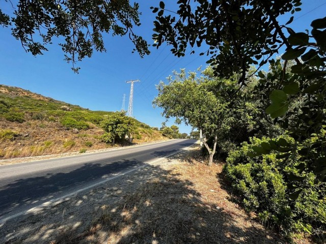 Plot in Estepona