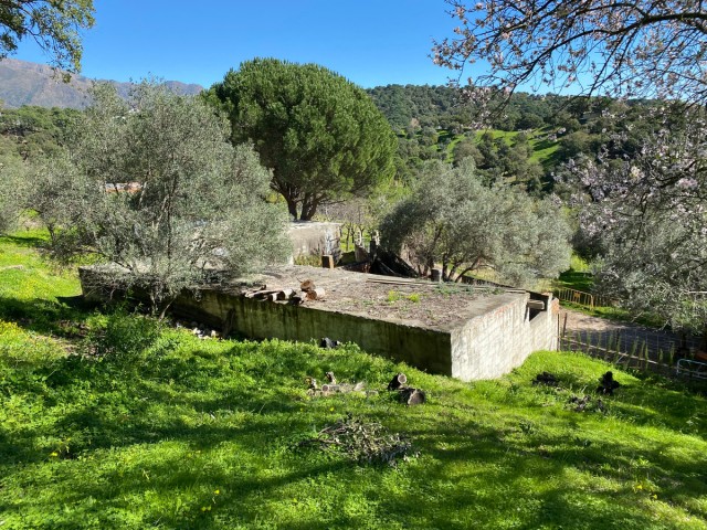 Plot, Casares, R5165197