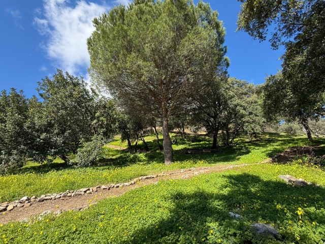 Terreno, Casares, R5165197