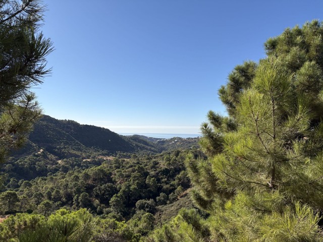  Plot in Benahavís