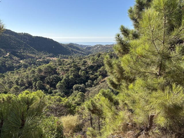  Plot in Benahavís