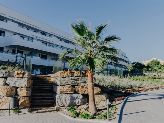 Lägenhet, Selwo, R5167540