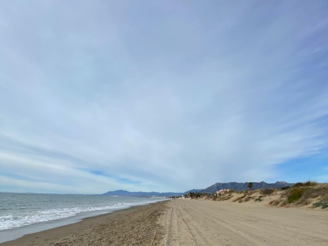 Kommersiell i El Rosario