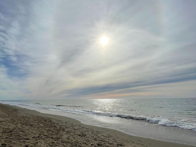 Kommersiell i El Rosario