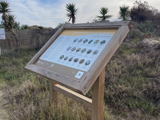 Kommersiell i El Rosario