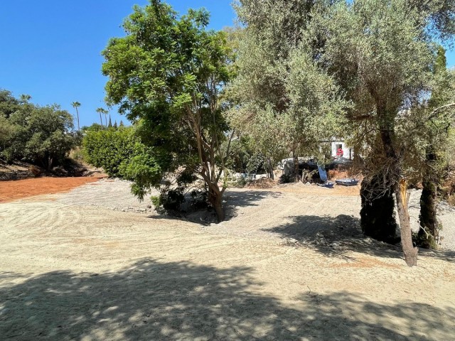  Grundstück in El Rosario