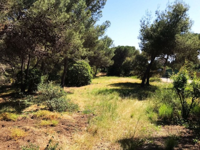 Tomt, Hacienda Las Chapas, R4069777