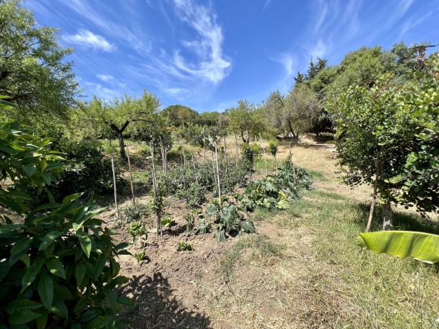 2 Bedrooms Villa in Estepona