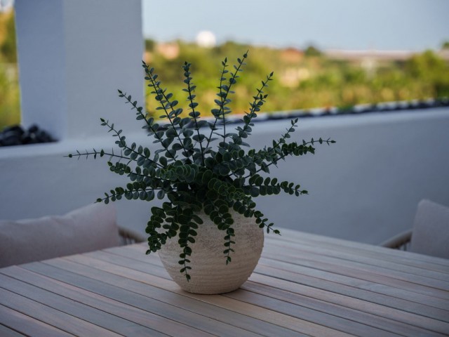 3 Slaapkamer Appartement in La Quinta