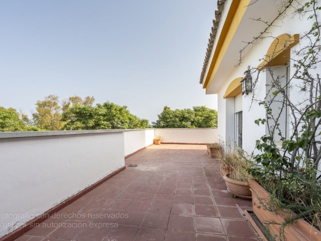 Penthouse in Puerto Banús