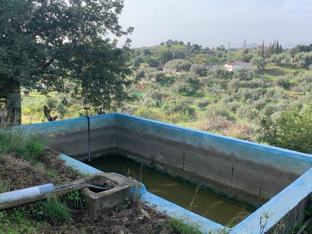 3 Bedrooms Villa in Mijas