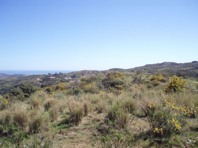  Plot in Mijas