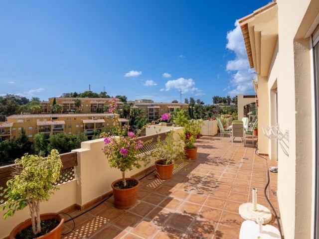 Penthouse avec 3 Chambres  à Miraflores