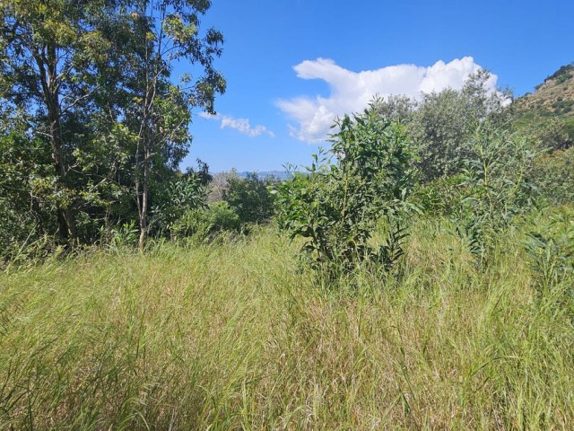 5 Bedrooms Villa in Mijas