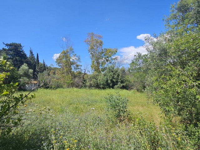 5 Bedrooms Villa in Mijas