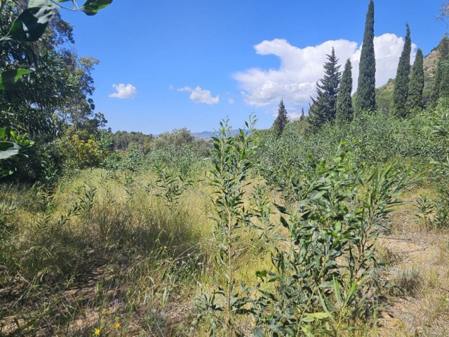 5 Bedrooms Villa in Mijas