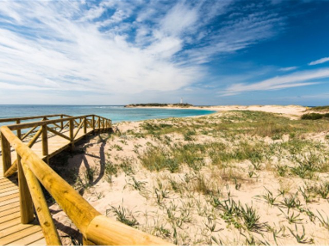  Plot in Sotogrande Alto