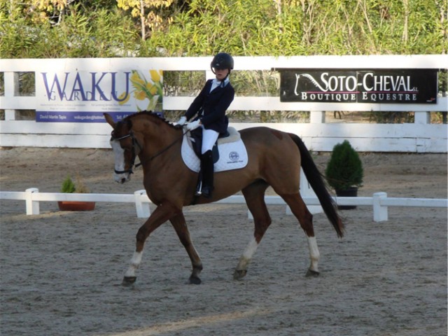  Tomt i Sotogrande Alto