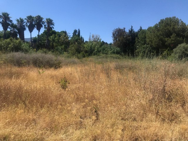  Plot in Estepona
