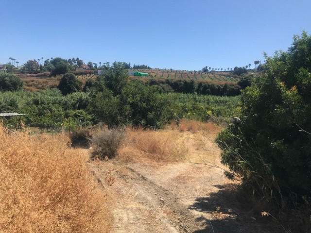  Plot in Estepona