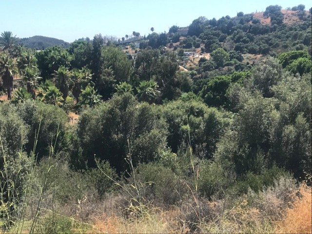  Plot in Estepona