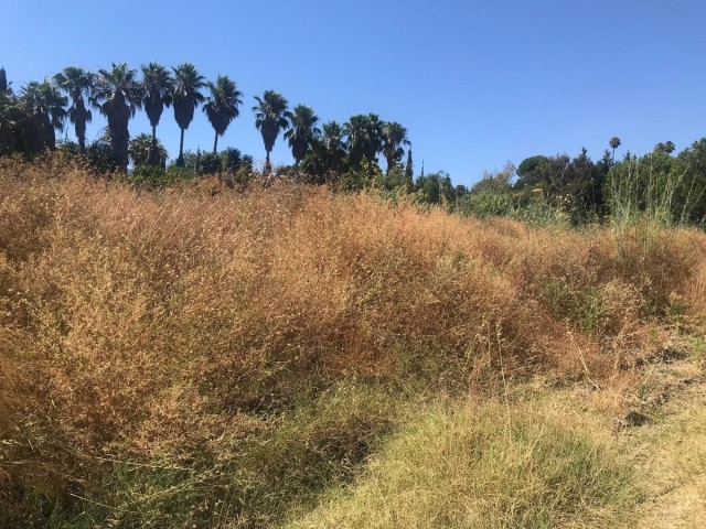  Plot in Estepona
