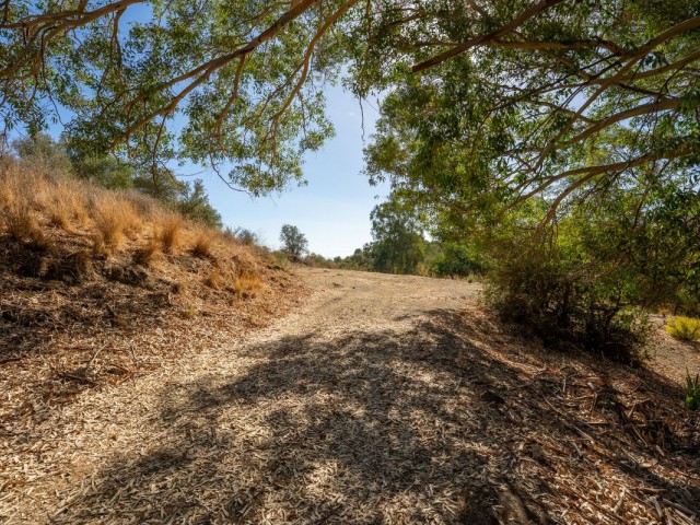  Plot in Cerros del Aguila