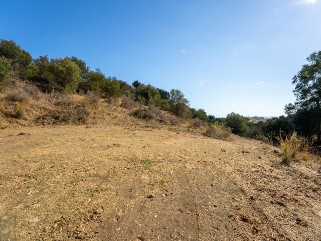  Plot in Cerros del Aguila