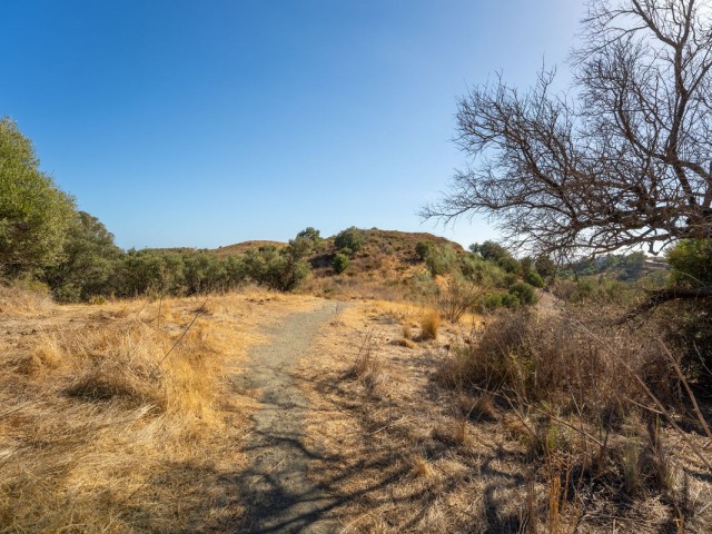  Plot in Cerros del Aguila