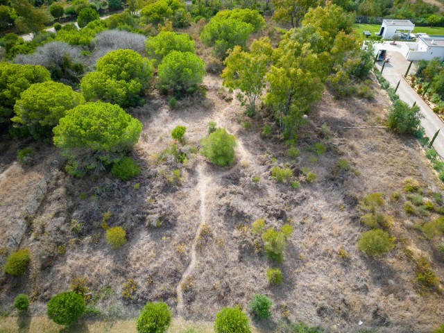  Plot in Sotogrande