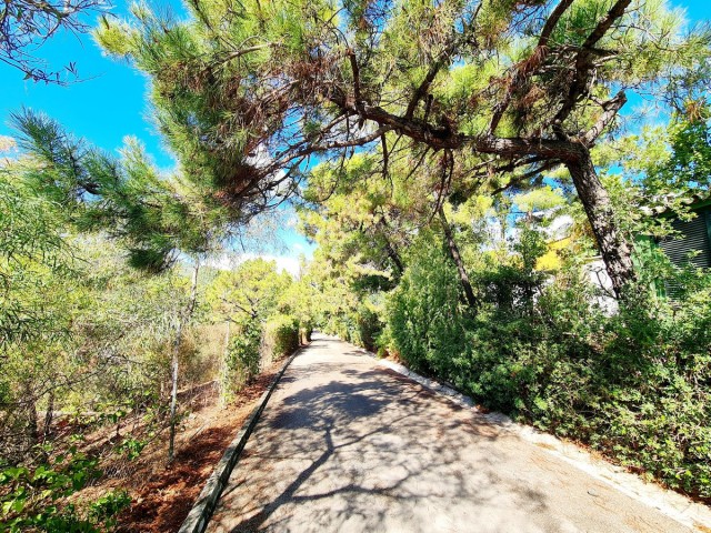  Parcelle à El Madroñal