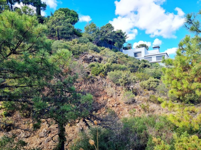  Parcelle à El Madroñal