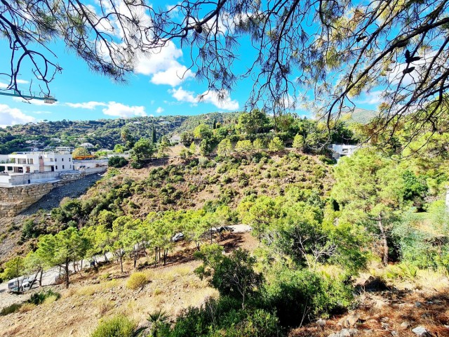 Perceel, El Madroñal, R5195473