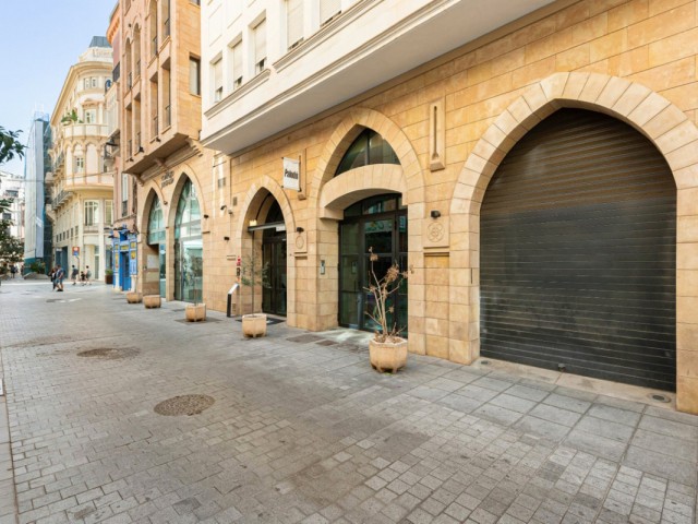 1 Soveroms Leilighet i Málaga