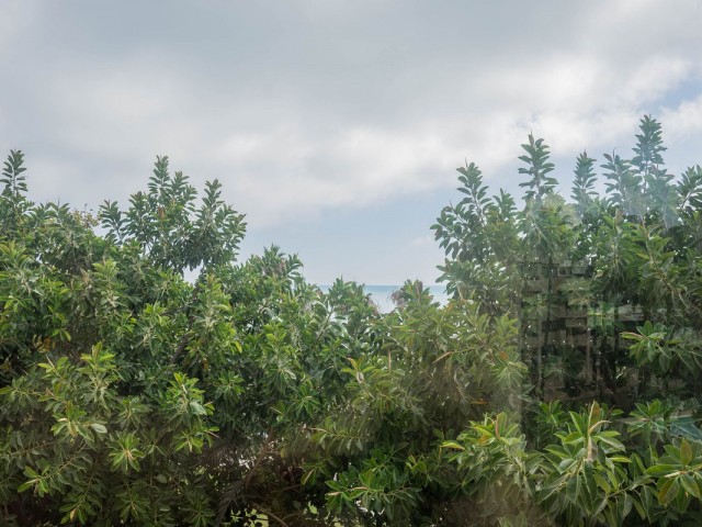 3 Slaapkamer Appartement in Torremolinos