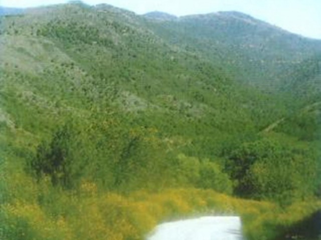 4 Soveroms Villa i Estepona