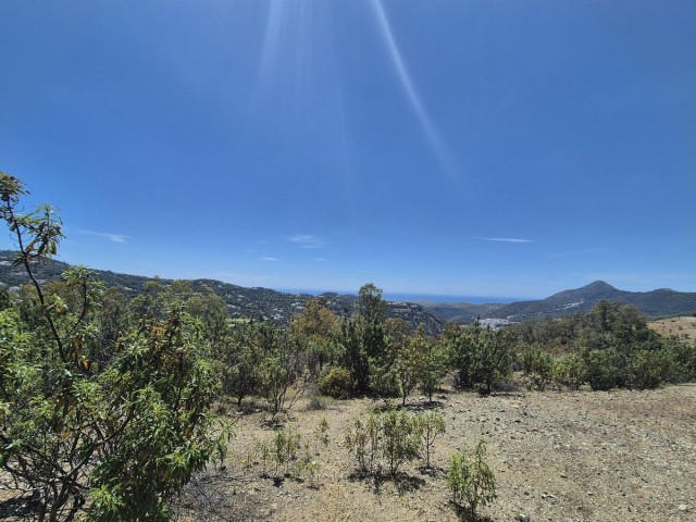 Tomt, La Zagaleta, R5218528