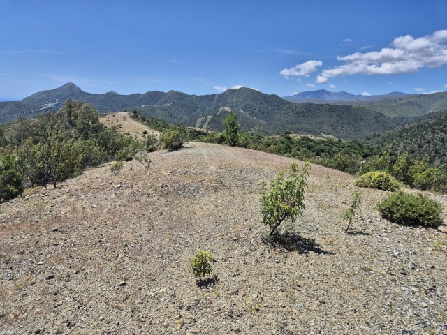 Tomt, La Zagaleta, R5218528