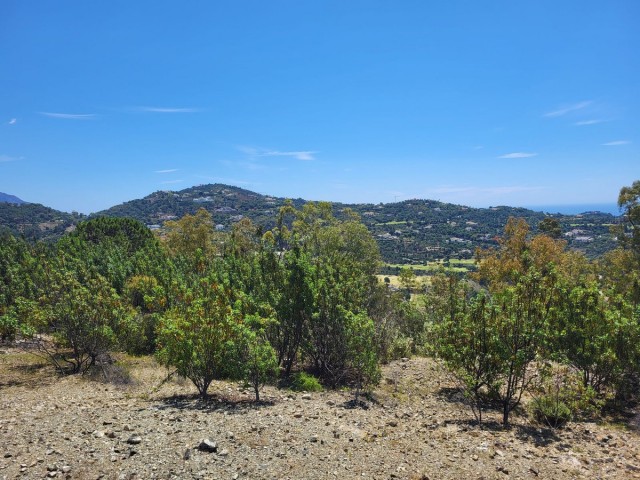  Perceel in La Zagaleta