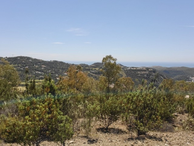  Perceel in La Zagaleta