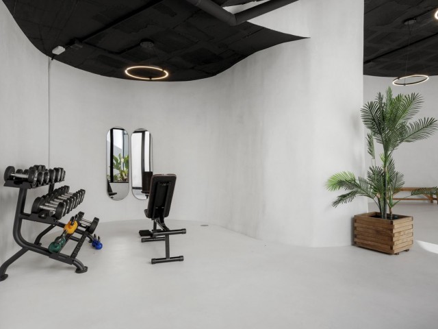 Appartement avec 3 Chambres  à Aloha