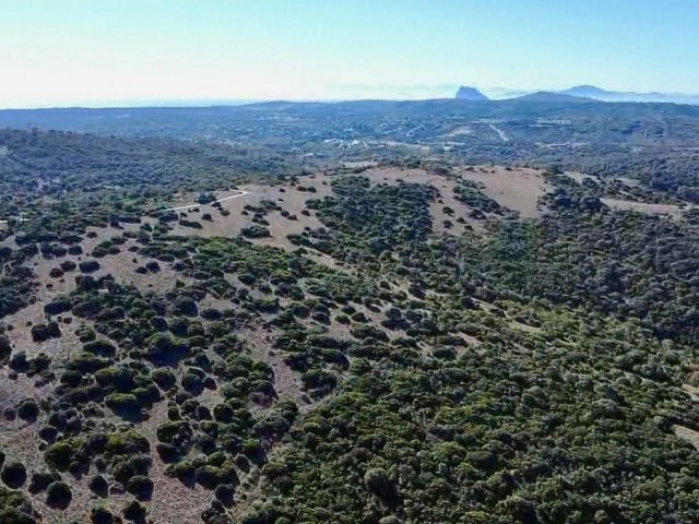  Plot in Sotogrande