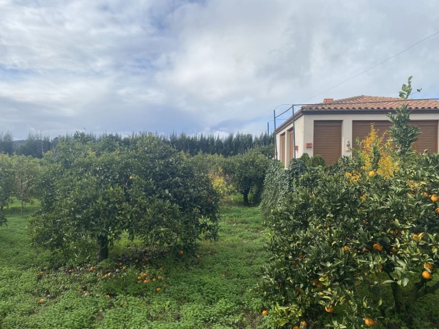  Plot in Sotogrande