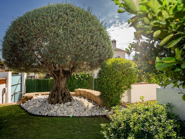 6 Bedrooms Villa in Guadalmina Baja