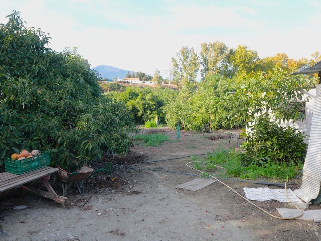  Plot in San Pedro de Alcántara